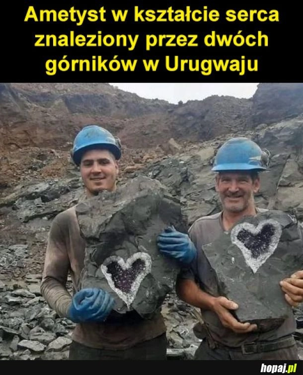 Aww jak im pasuje