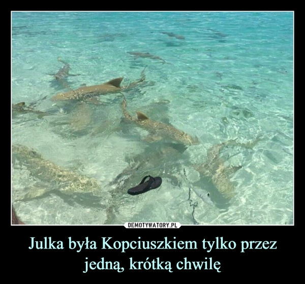 
    Julka była Kopciuszkiem tylko przez jedną, krótką chwilę