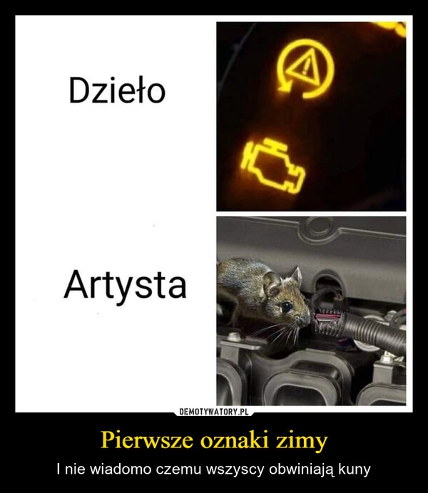 
    Pierwsze oznaki zimy