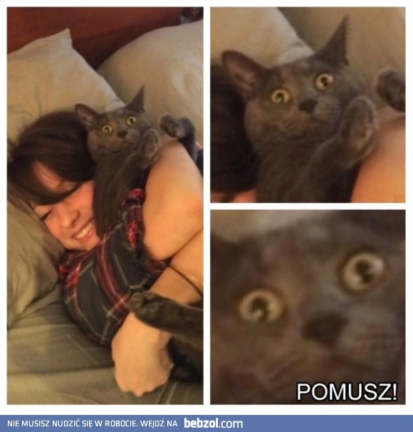 
    Pomocy