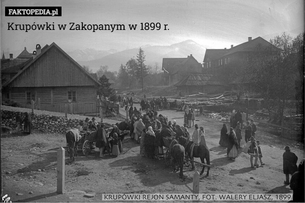 
    Krupówki w Zakopanym w 1899 r.