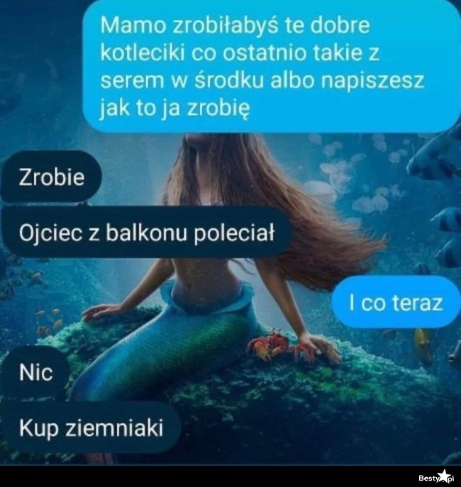 
    Kotleciki z serem 