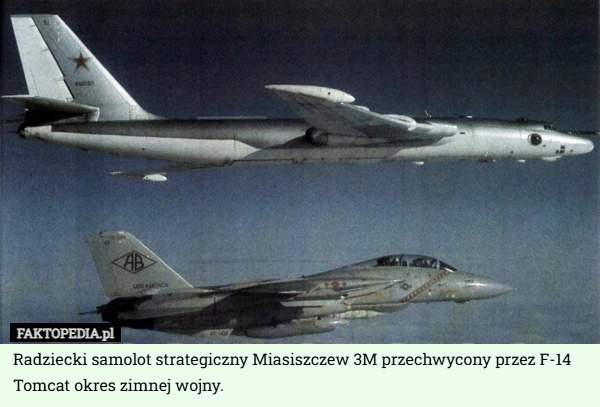 
    Radziecki samolot strategiczny Miasiszczew 3M przechwycony przez F-14 Tomcat