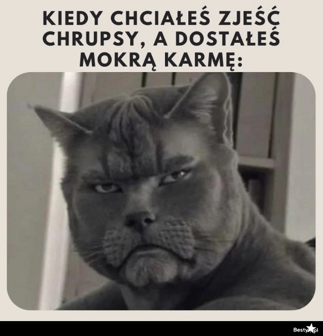 
    I się kicia obraziła 