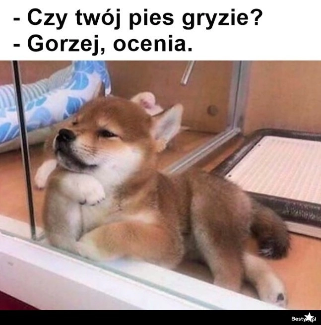 
    Jeszcze gorzej 