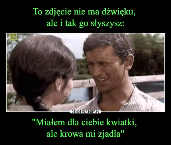 
    To zdjęcie nie ma dźwięku, 
ale i tak go słyszysz: "Miałem dla ciebie kwiatki, 
ale krowa mi zjadła"