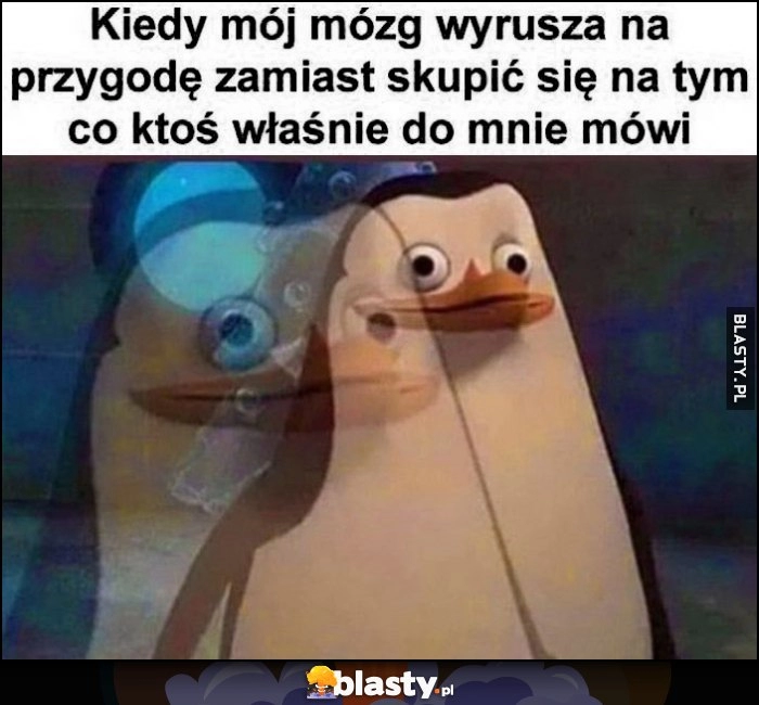 
    Kiedy mój mózg wyrusza na przygodę zamiast skupić się na tym co ktoś właśnie do mnie mówi pingwin