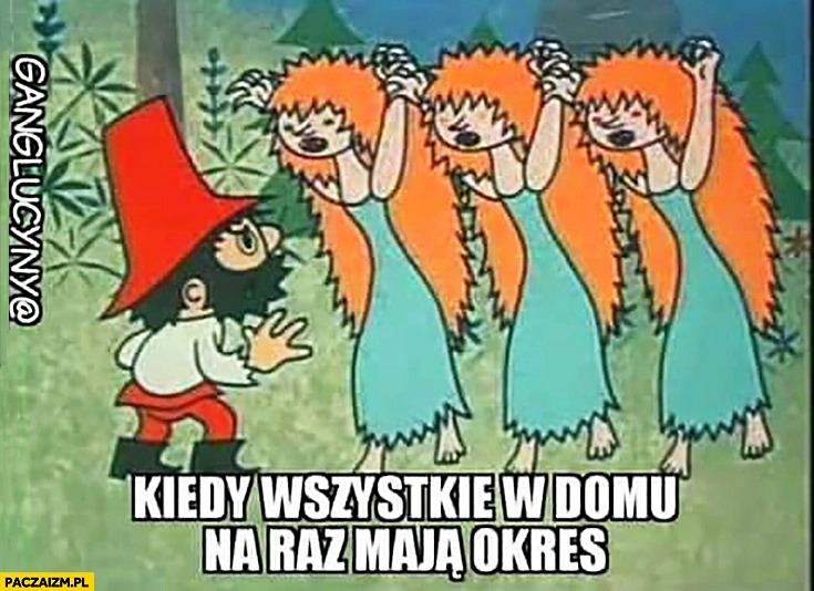 
    Kiedy wszystkie żony w domu na raz mają okres Rumcajs bajka