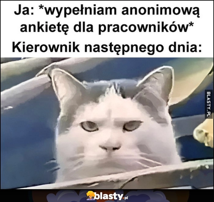 
    Ja: wypełniam anonimową ankietę dla pracowników, kierownik następnego dnia zły wkurzony kot