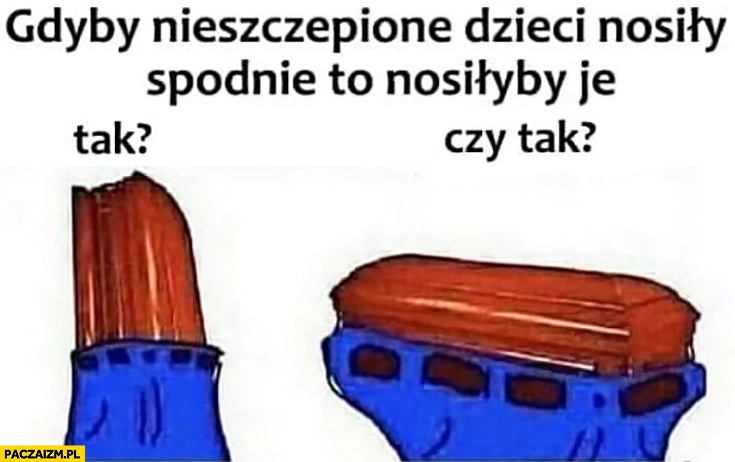 
    Gdyby nieszczepione dzieci nosiły spodnie to nosiłyby je tak czy tak trumna