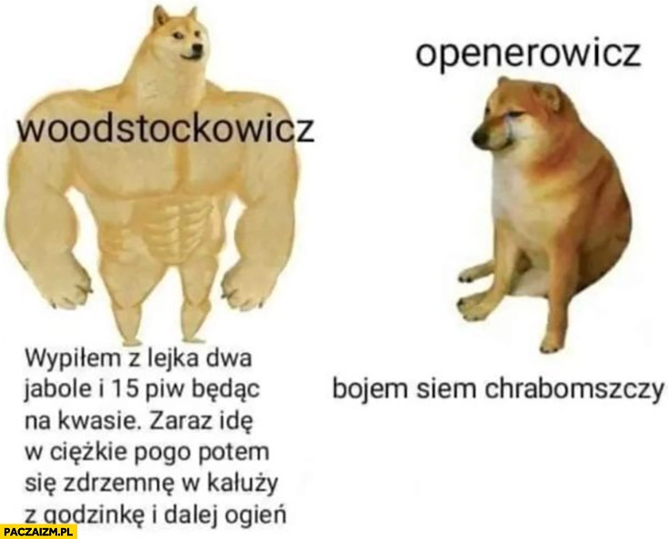 
    Woodstockowicz wypiłem dwa jabole i 15 piw idę w pogo vs openerowicz bojem się chrabąszczy pies pieseł doge cheems