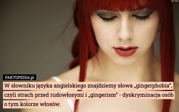 
    W słowniku języka angielskiego znajdziemy słowa „gingerphobia”, czyli strach