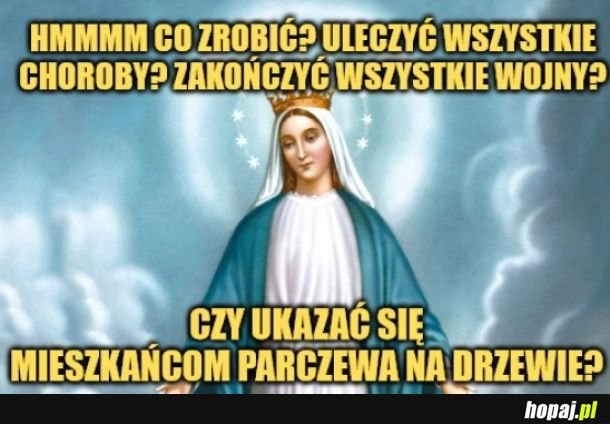 
    Wybór jest prosty. 