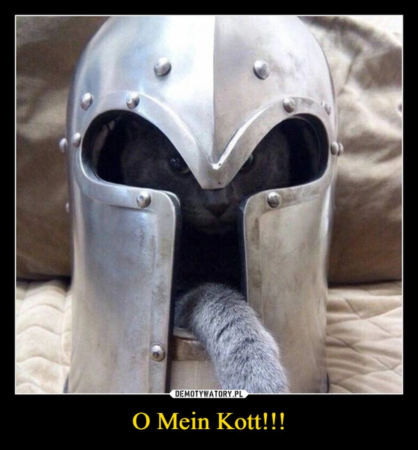 
    O Mein Kott!!!