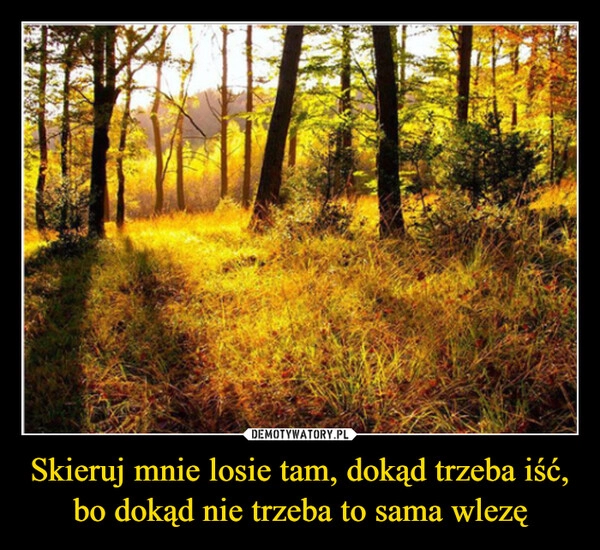 
    Skieruj mnie losie tam, dokąd trzeba iść, bo dokąd nie trzeba to sama wlezę