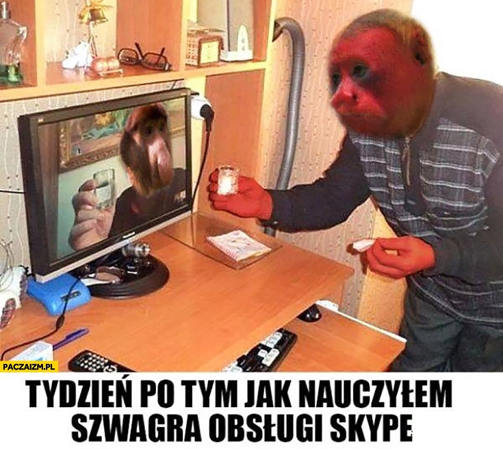 
    Tydzień po tym jak nauczyłem szwagra obsługi Skype pije wódkę kielona typowy Polak nosacz małpa