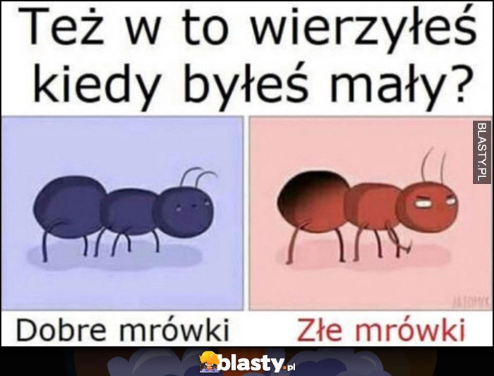 
    Też w to wierzyłeś, kiedy byłeś mały? Dobre mrówki i złe mrówki