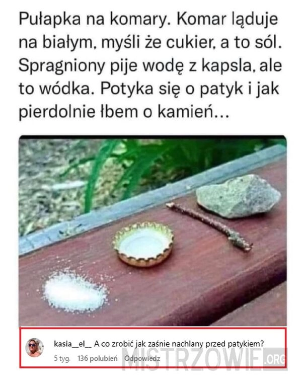 
    Pułapka na komary