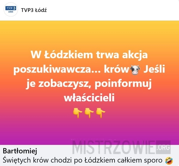 
    Akcja poszukiwawcza