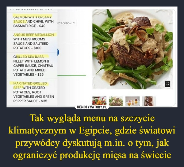 
    
Tak wygląda menu na szczycie klimatycznym w Egipcie, gdzie światowi przywódcy dyskutują m.in. o tym, jak ograniczyć produkcję mięsa na świecie 