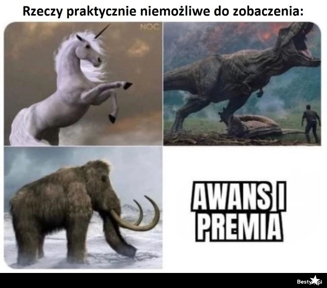 
    Rzeczy praktycznie niemożliwe do zobaczenia 