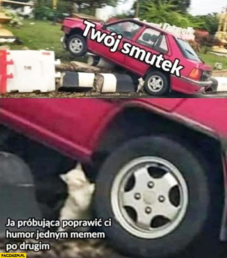 
    Twój smutek vs ja próbująca poprawić Ci humor jednym memem po drugim kotek przesuwa samochód