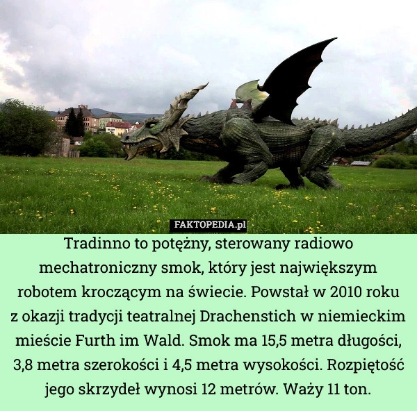 
    Tradinno to potężny, sterowany radiowo mechatroniczny smok, który jest największym