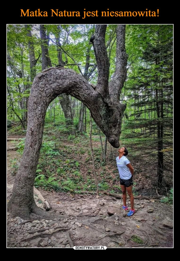 
    Matka Natura jest niesamowita!