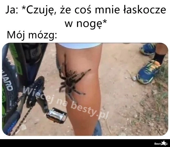 
    Pierwsza myśl 