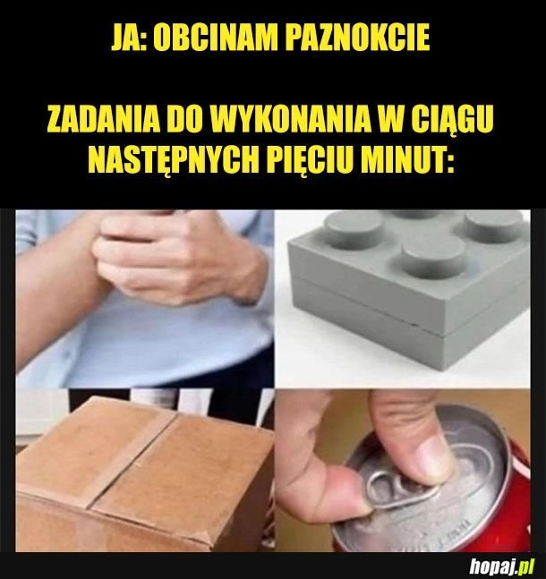 
    Paznokcie