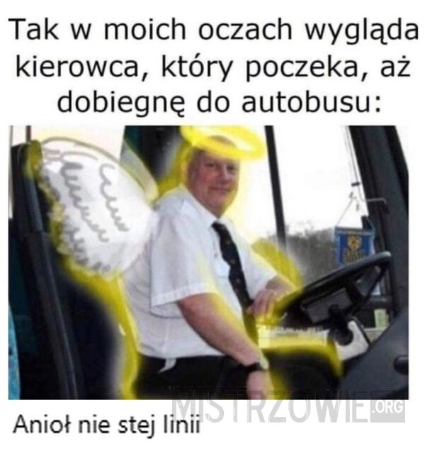 
    Anioł