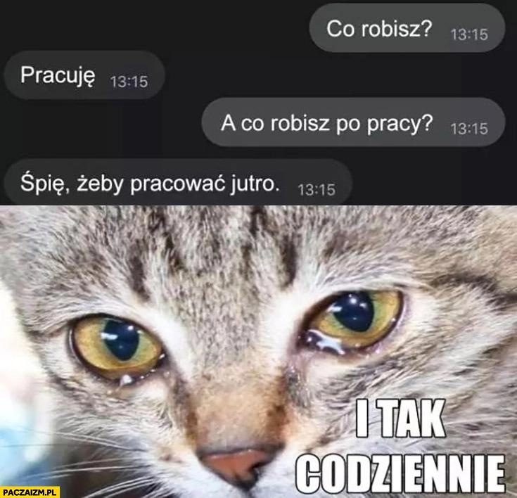 
    Co robisz pracuje a po pracy śpię, żeby pracować jutro i tak codziennie kot płacze