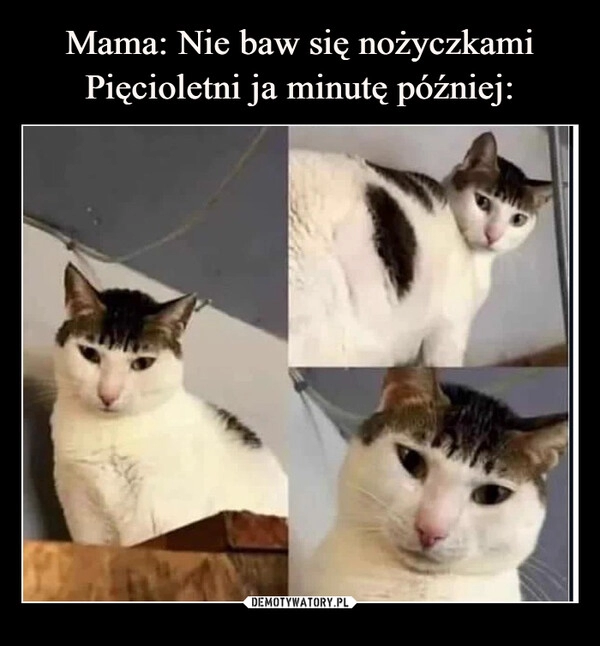 
    Mama: Nie baw się nożyczkami
Pięcioletni ja minutę później: