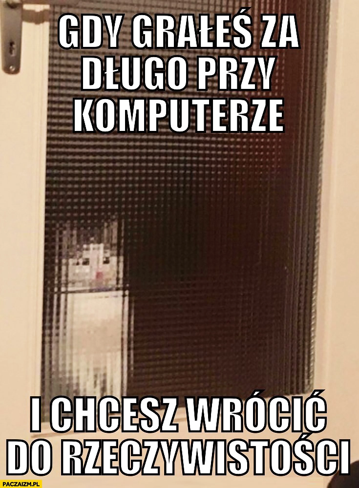 
    Gdy grałeś za długo na komputerze i chcesz wrócić do rzeczywistości kot pikselowa szyba
