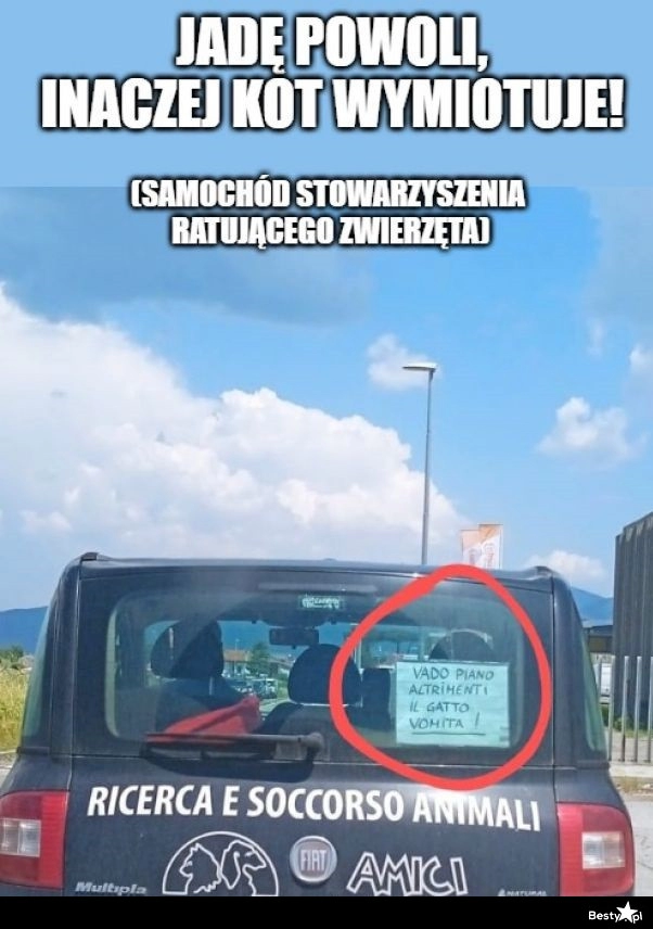 
    Samochód stowarzyszenia, ratującego zwierzęta 