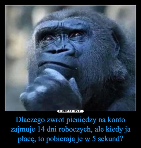 
    Dlaczego zwrot pieniędzy na konto zajmuje 14 dni roboczych, ale kiedy ja płacę, to pobierają je w 5 sekund?