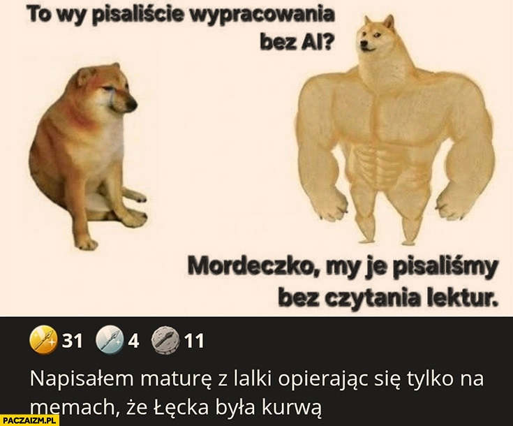 To wy pisaliście wypracowania bez AI mordeczko my je pisaliśmy bez czytania lektur napisałem maturę z lalki opierając się tylko na memach ze Łęcka była kurna