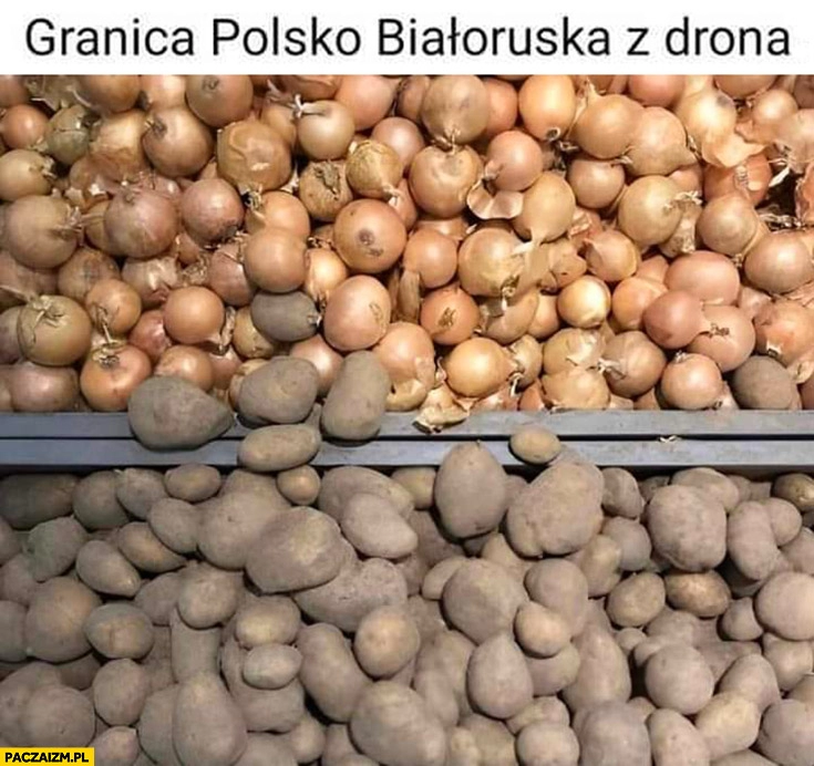 
    Granica polsko-białoruska widziana z drona cebula ziemniaki