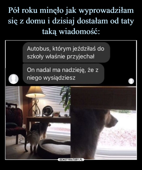 
    Pół roku minęło jak wyprowadziłam się z domu i dzisiaj dostałam od taty taką wiadomość: