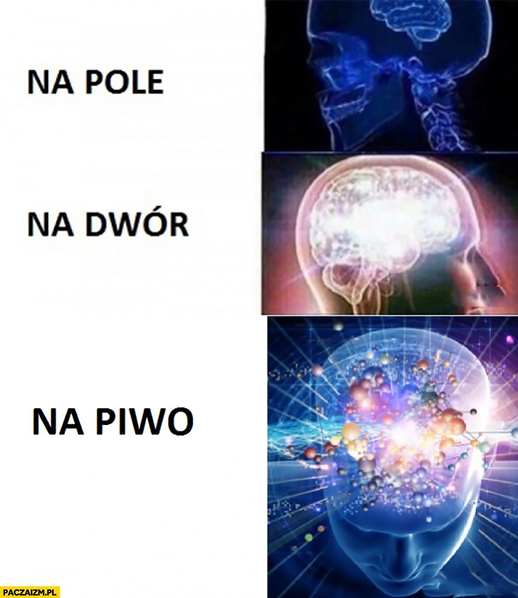 
    Na pole, na dwór, na piwo mózg rozwalony