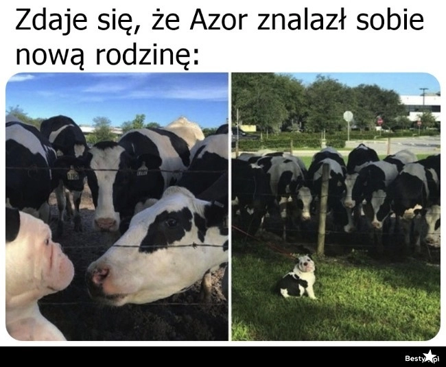 
    Nowa rodzinka 