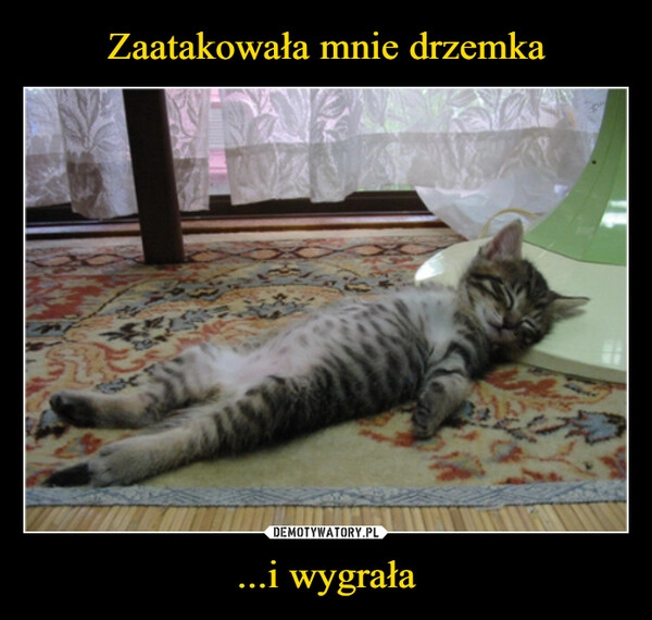 
    Zaatakowała mnie drzemka ...i wygrała