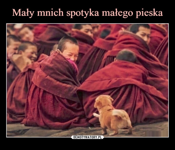 
    
Mały mnich spotyka małego pieska 