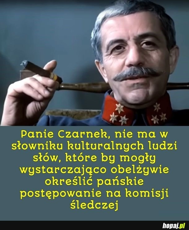 
    Czarnek