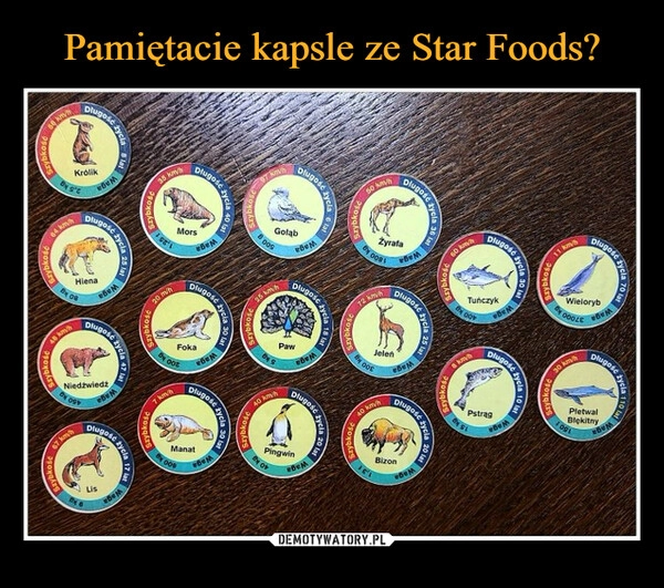 
    Pamiętacie kapsle ze Star Foods?