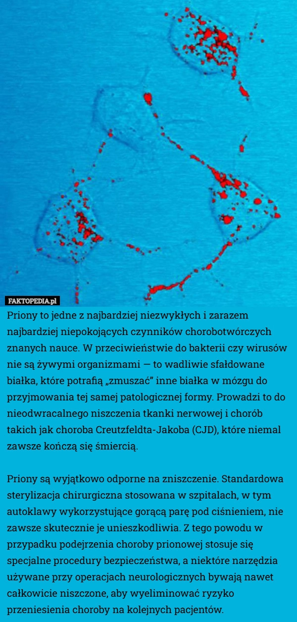 
    Priony to jedne z najbardziej niezwykłych i zarazem najbardziej niepokojących