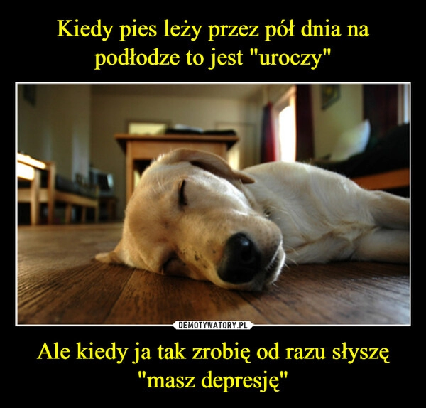 
    Kiedy pies leży przez pół dnia na podłodze to jest "uroczy" Ale kiedy ja tak zrobię od razu słyszę
"masz depresję"