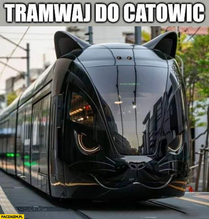 
    Tramwaj do catowic Katowic doslownie kot koci