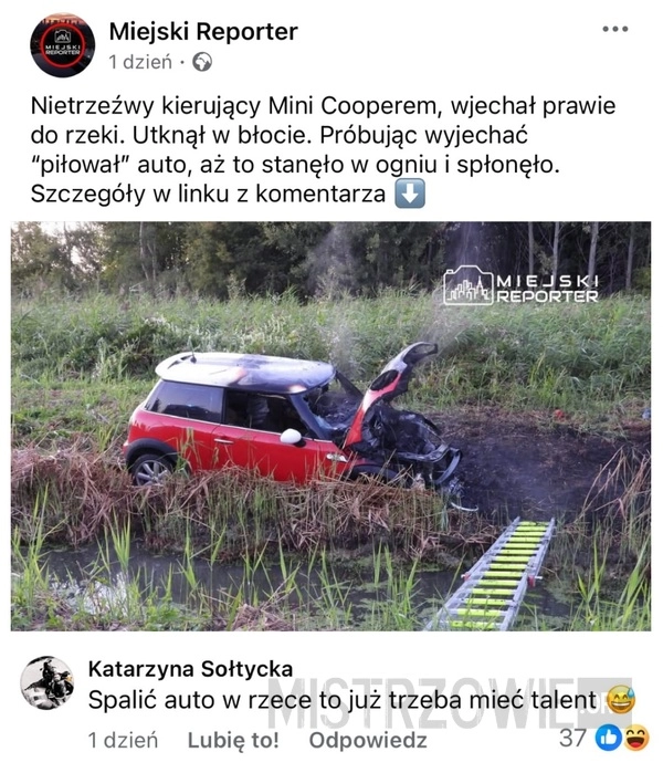 
    Talent