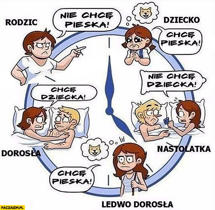 Cykl życia: chcę pieska, nie chcę dziecka, chcę pieska, chcę dziecka, nie chcę pieska